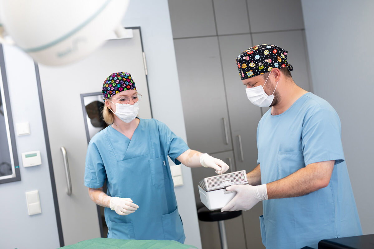 Ästhetische Chirurgie in der Zahnklinik Ost